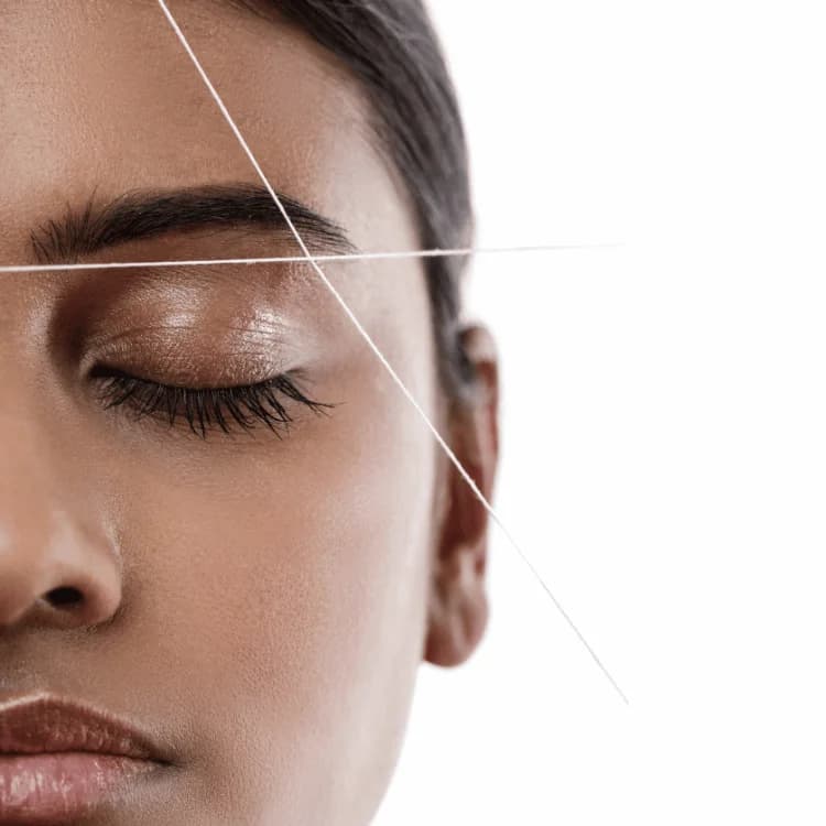 Eyebrows & Upper Lips